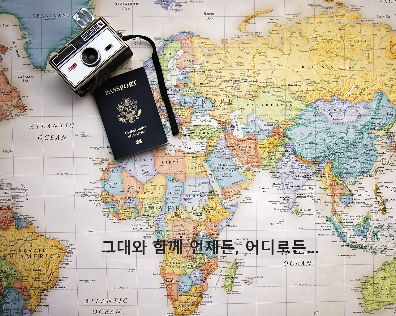프로필사진