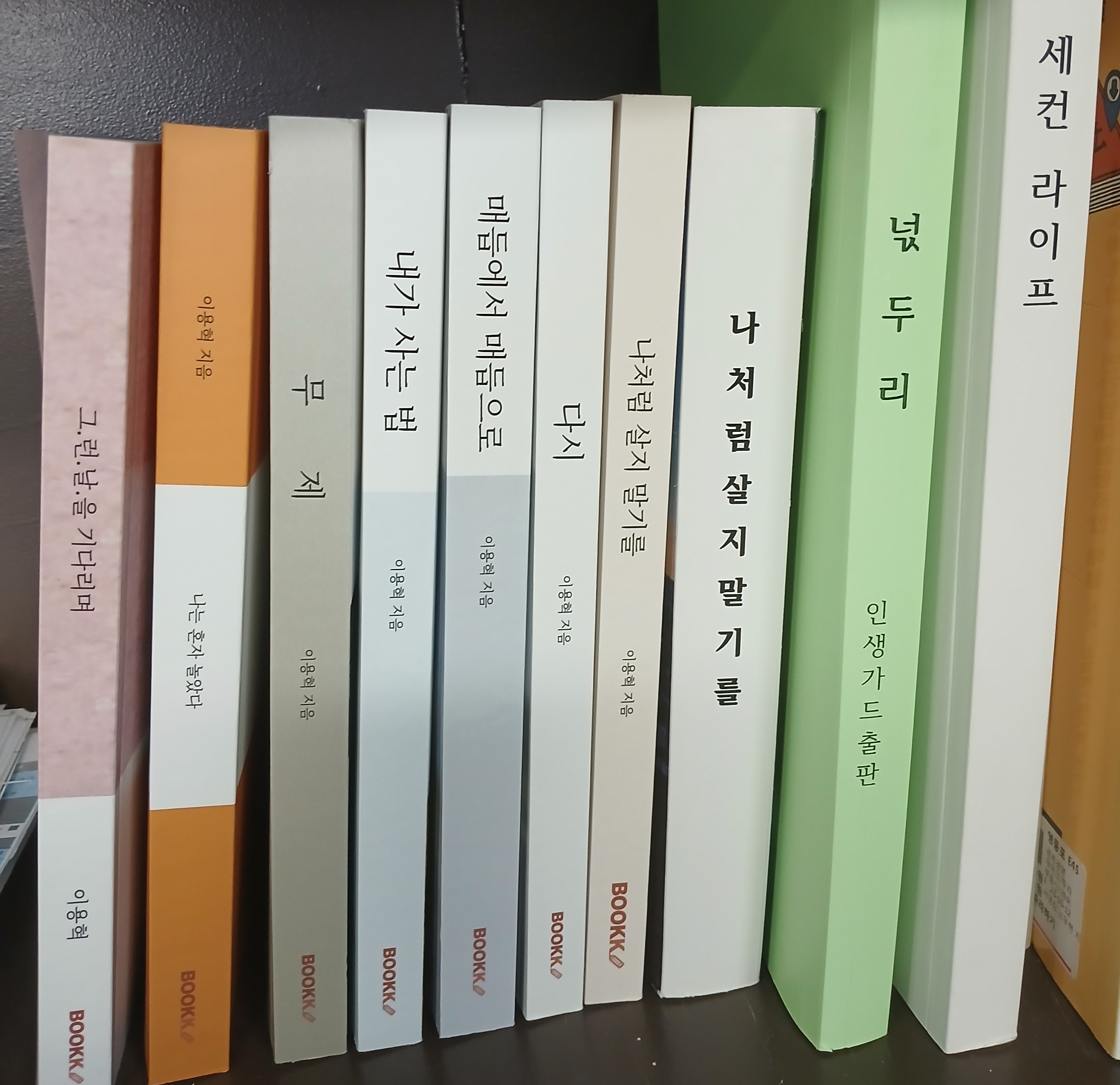 프로필사진
