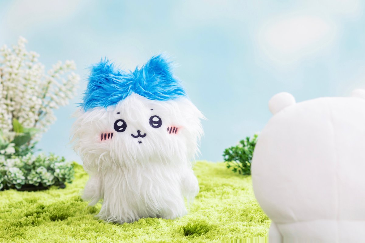 프로필사진