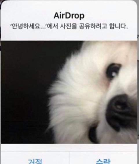 프로필사진