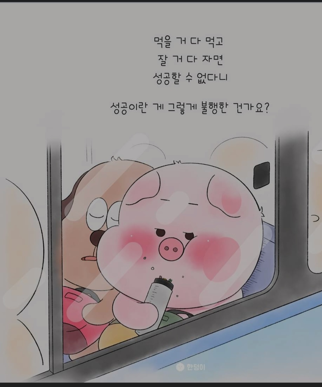 프로필사진