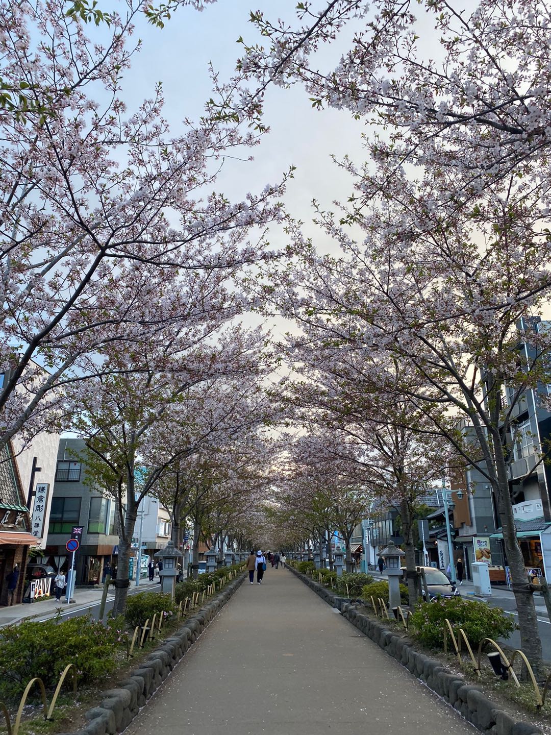 프로필사진