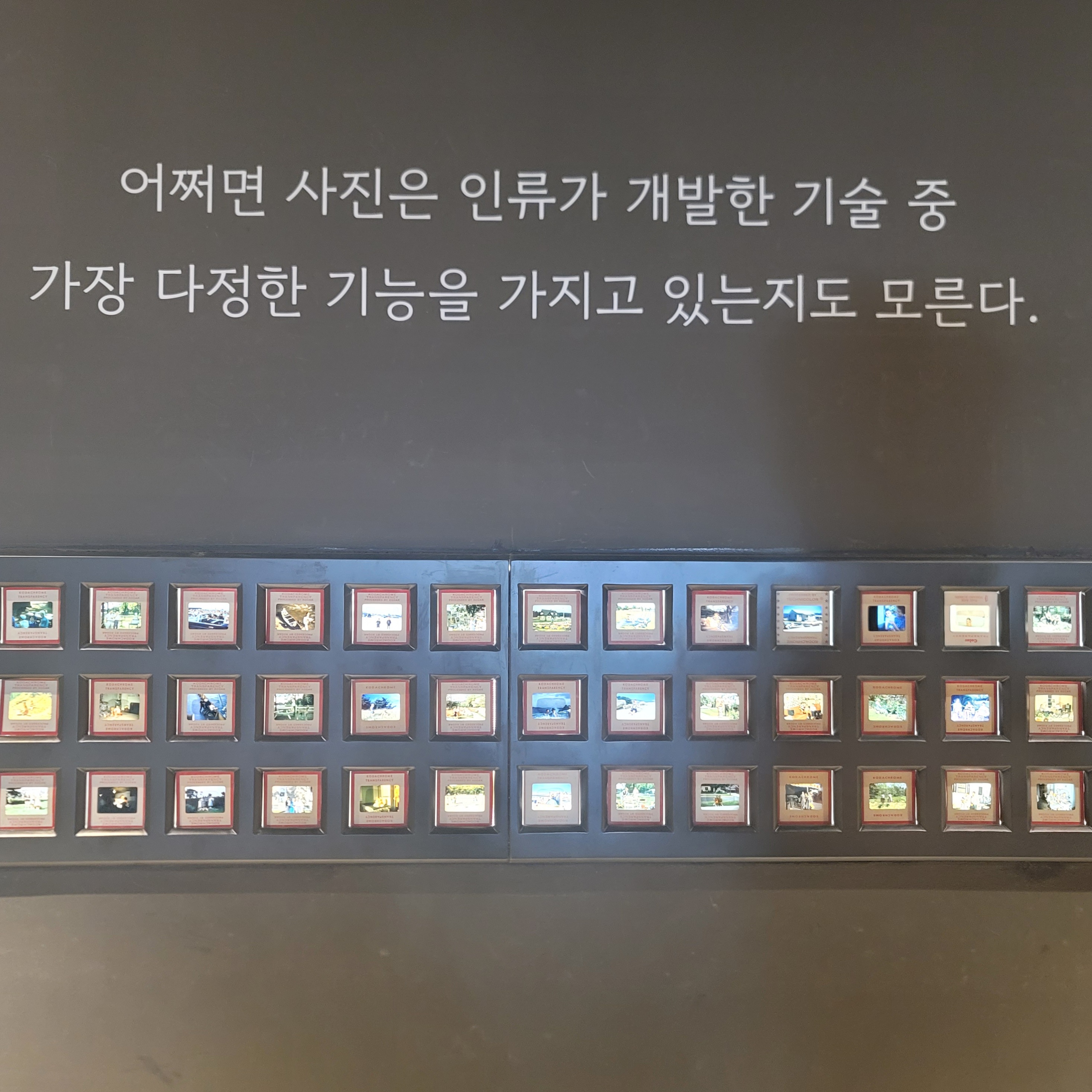 프로필사진