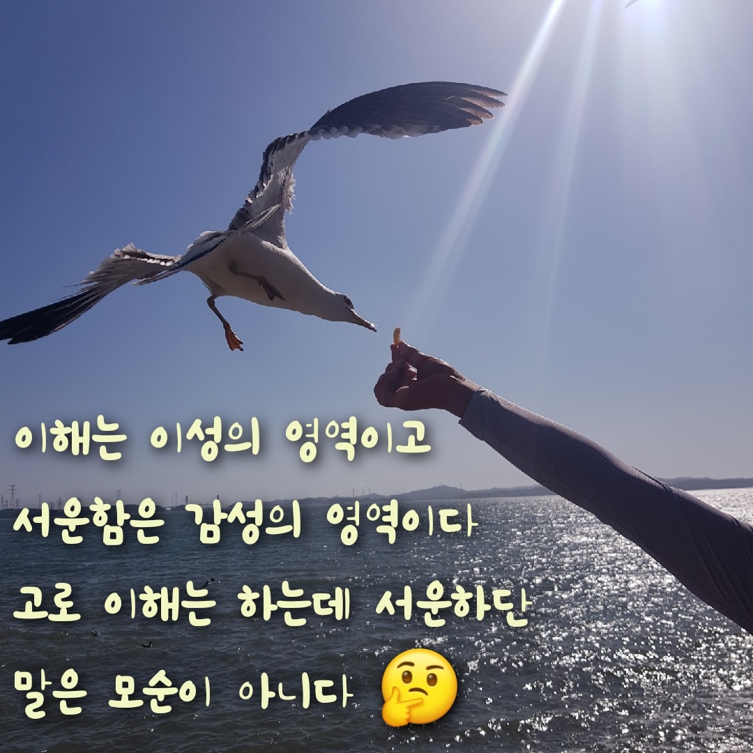 프로필사진