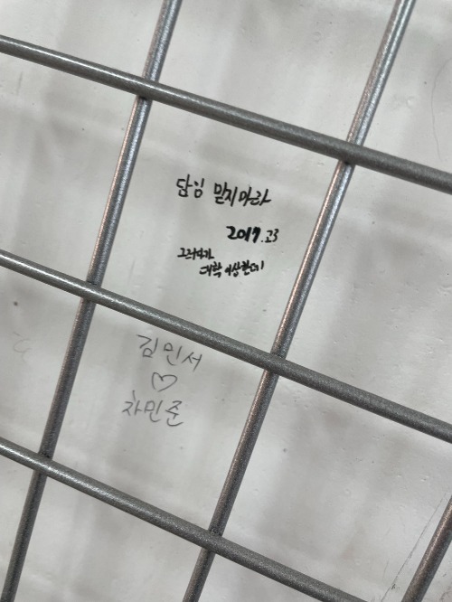 블로그 이미지