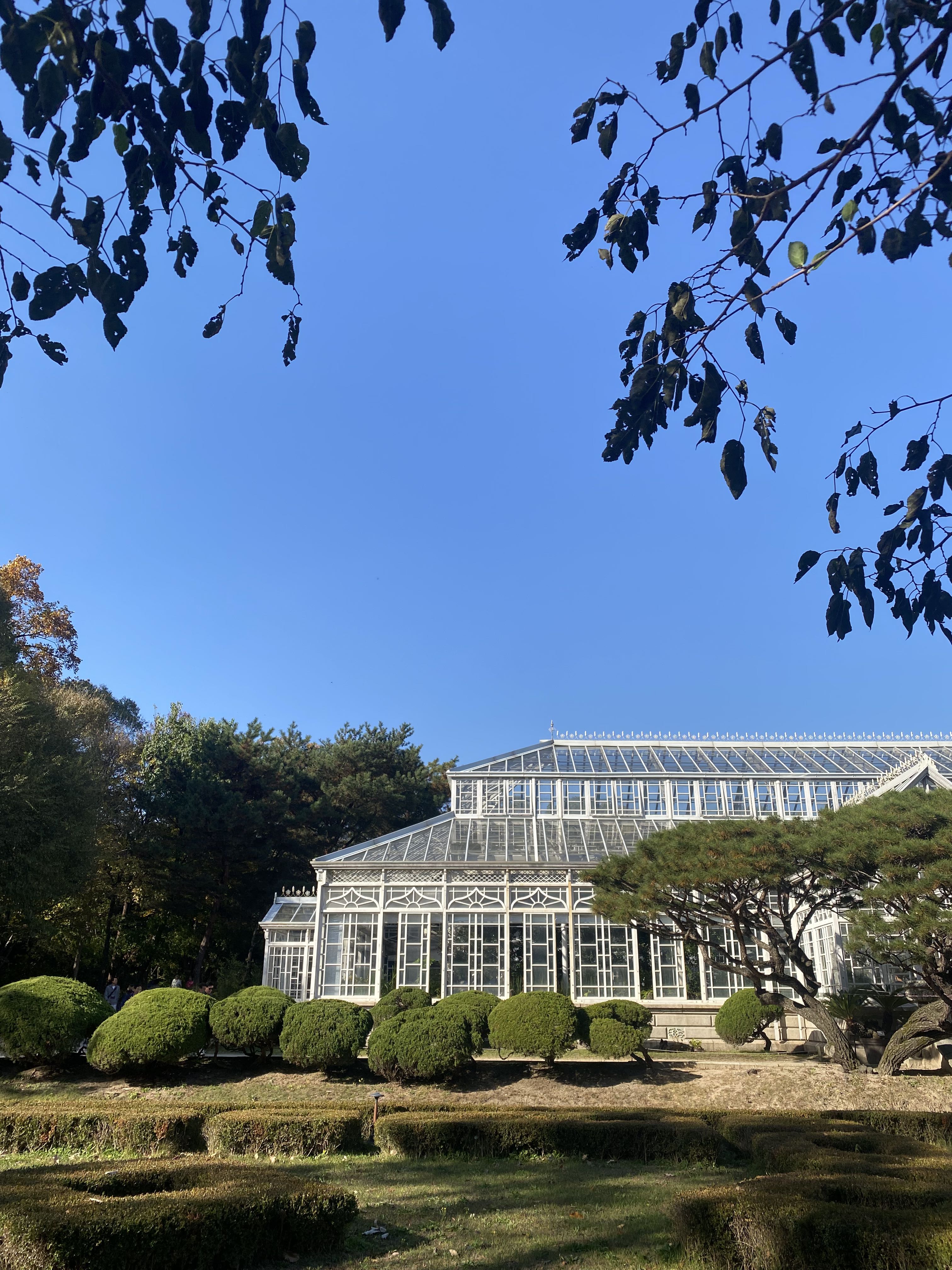 프로필사진