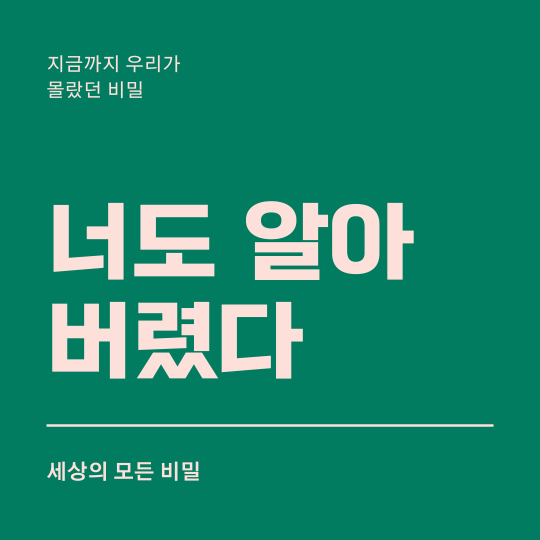 블로그 이미지