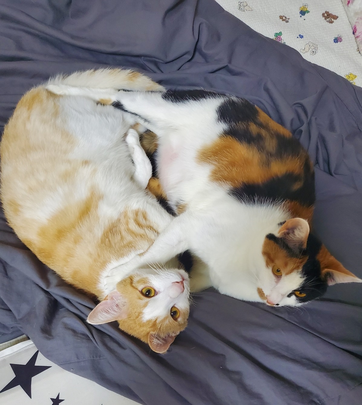 블로그 이미지
