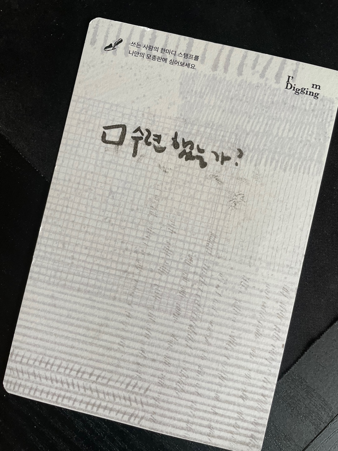프로필사진