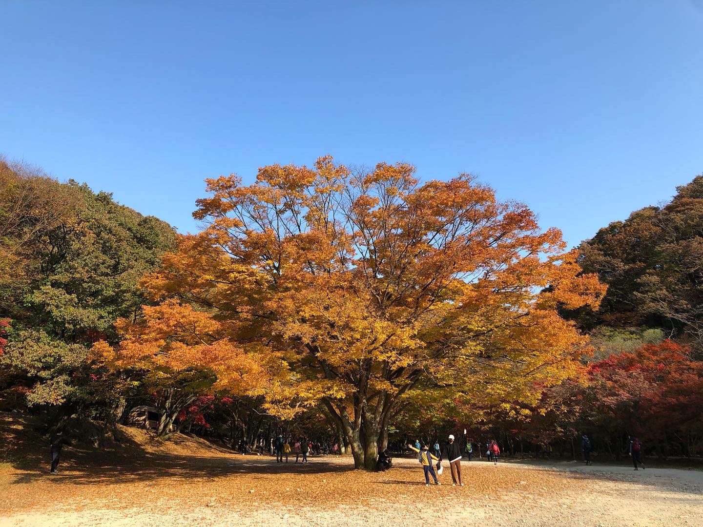 블로그 이미지