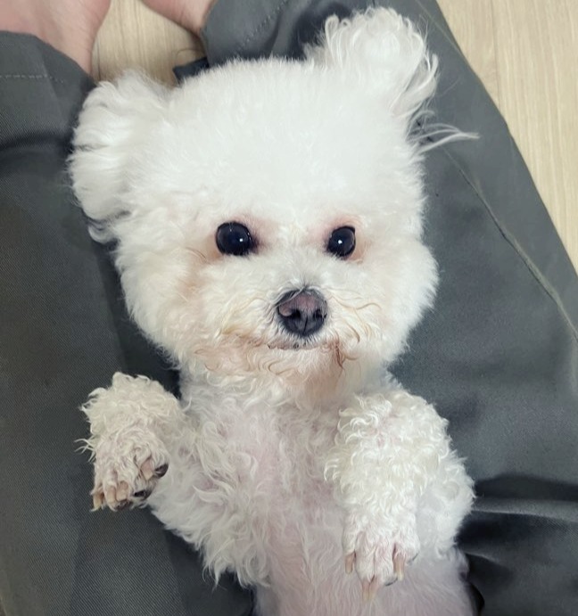 블로그 이미지