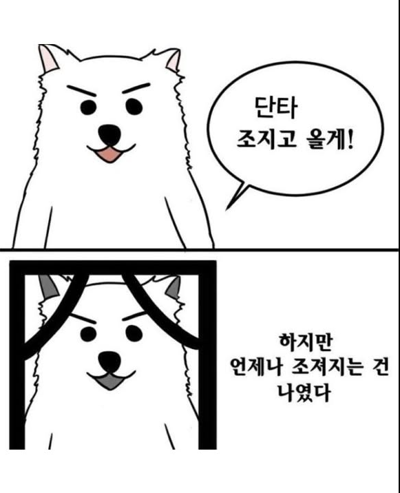 프로필사진