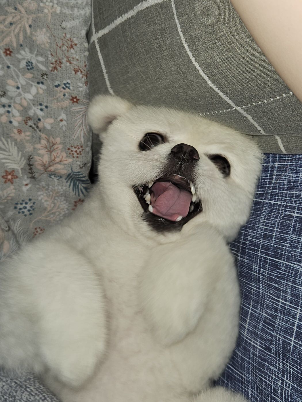 프로필사진