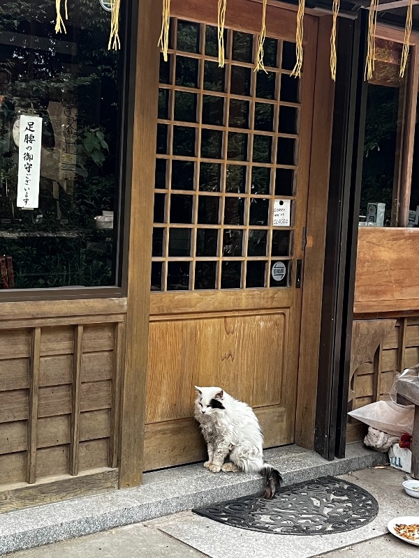 프로필사진