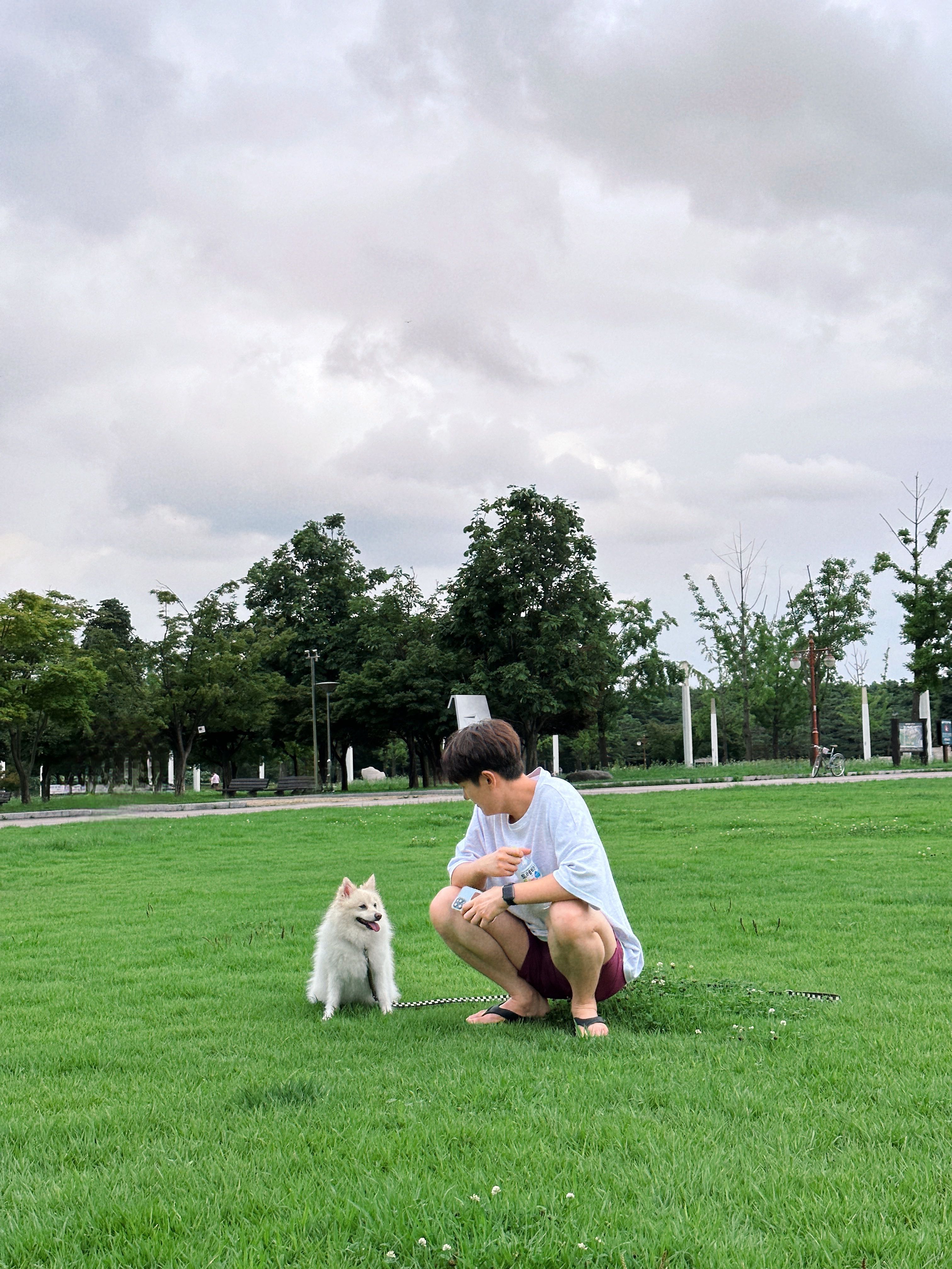 프로필사진