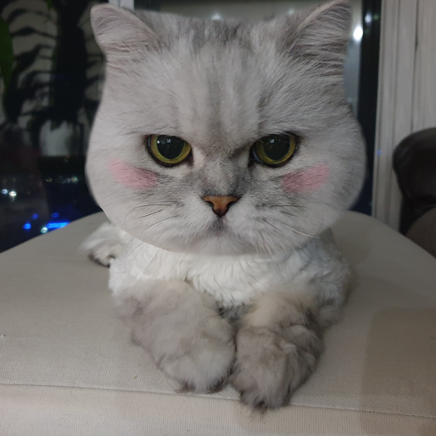 프로필사진