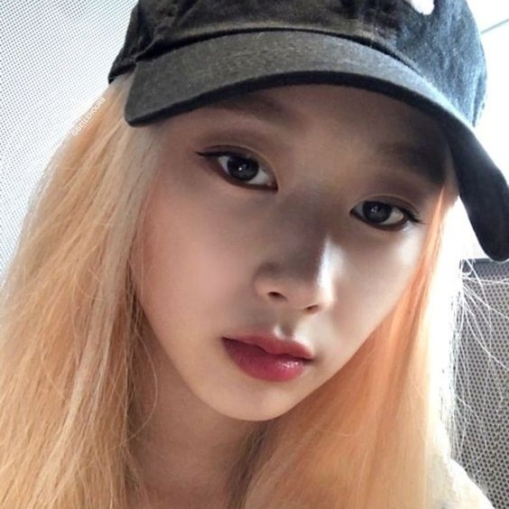 category 대표 이미지