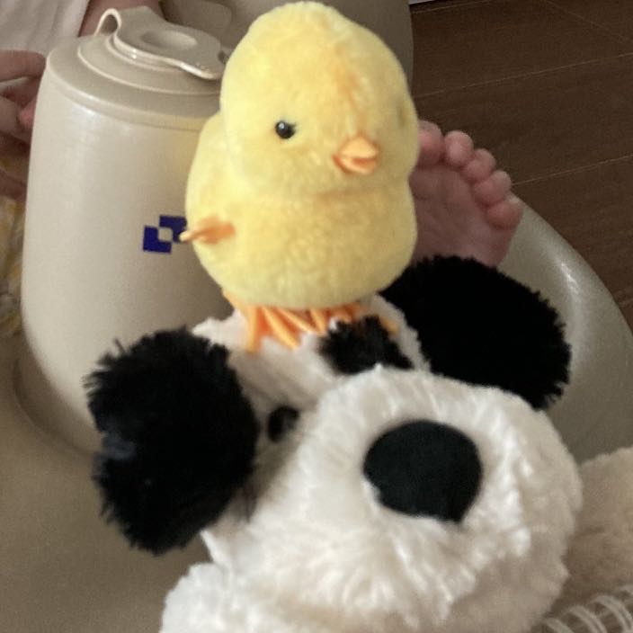 프로필사진