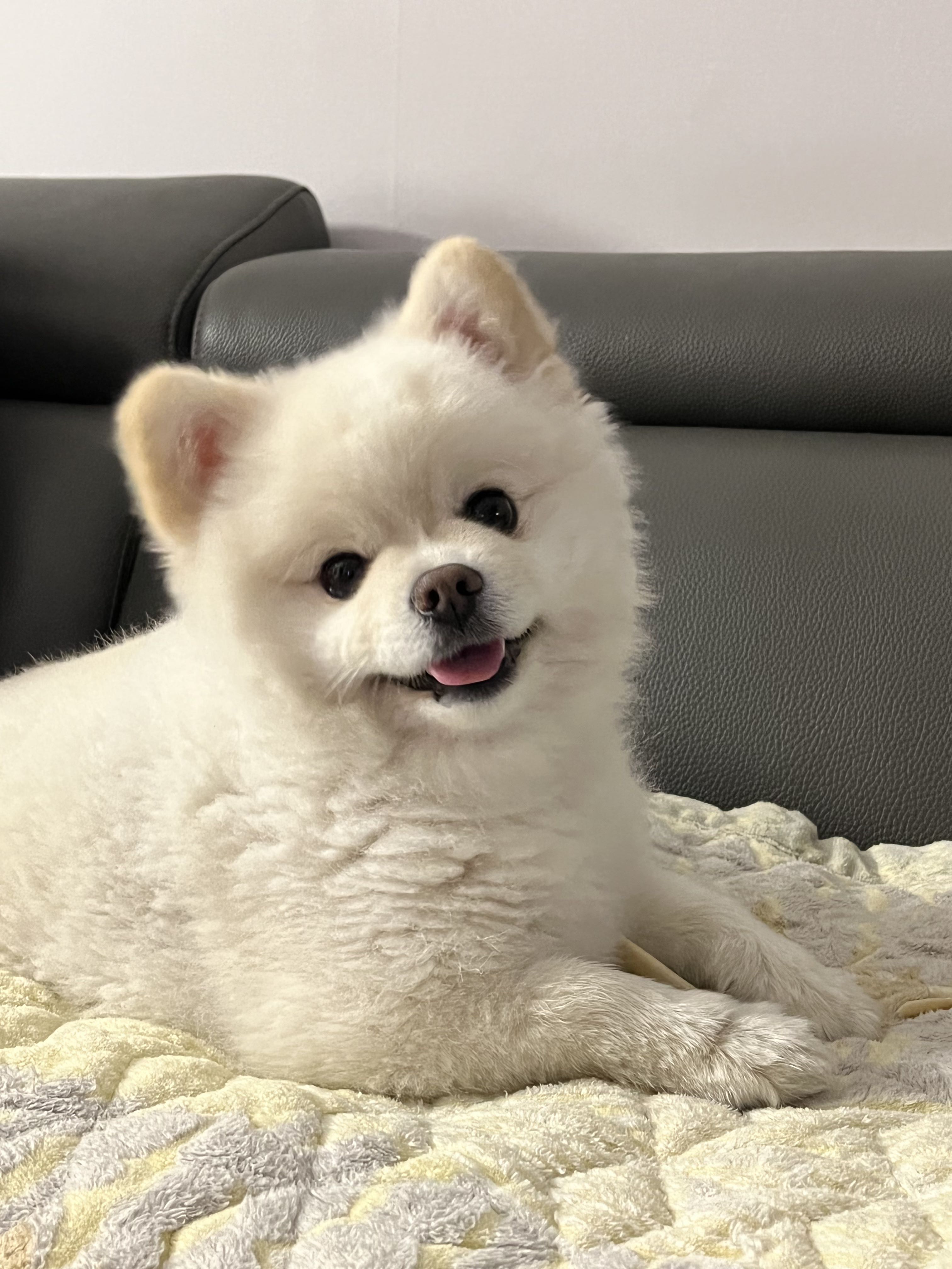 프로필사진