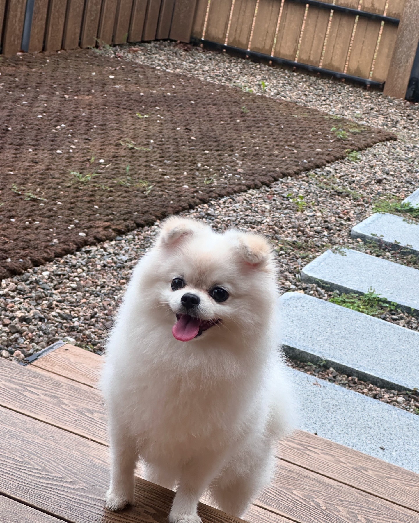 프로필사진