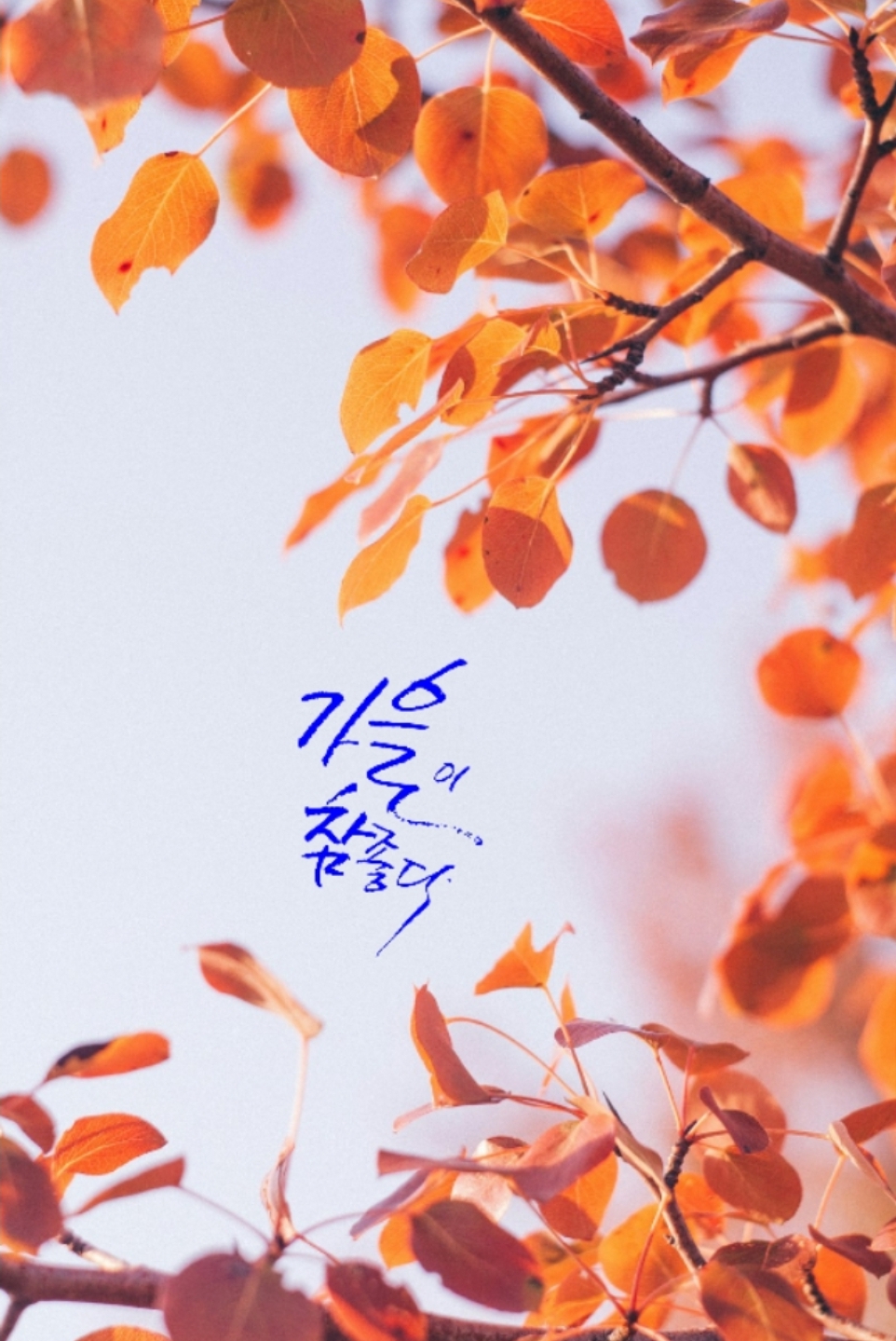 프로필사진