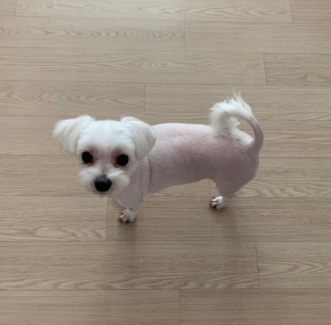 블로그 이미지