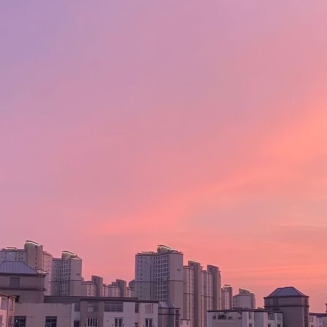 프로필사진