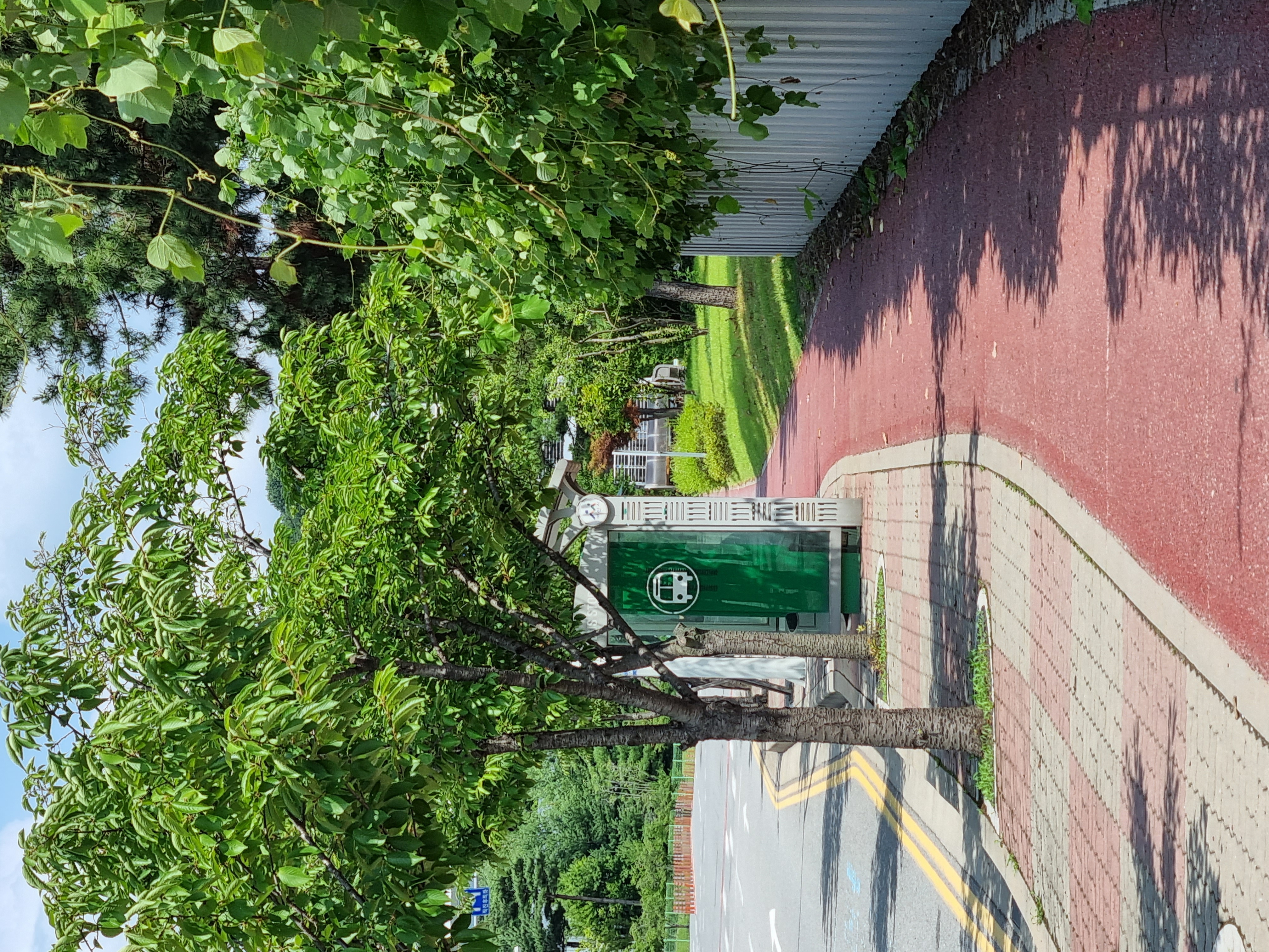 프로필사진