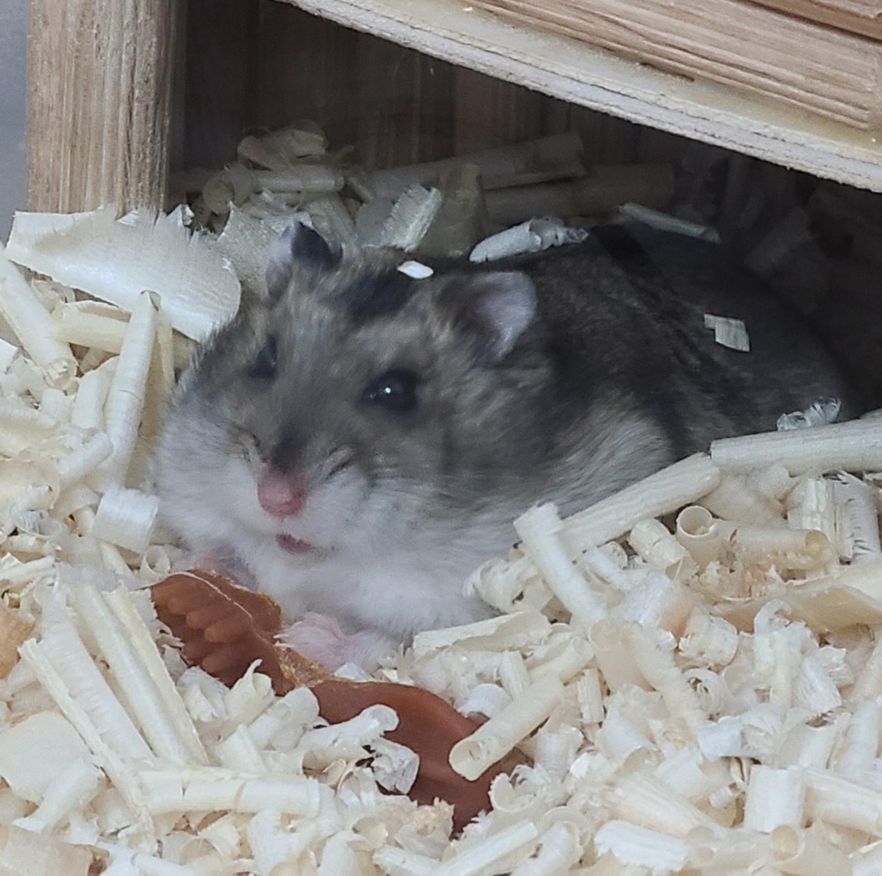 프로필사진