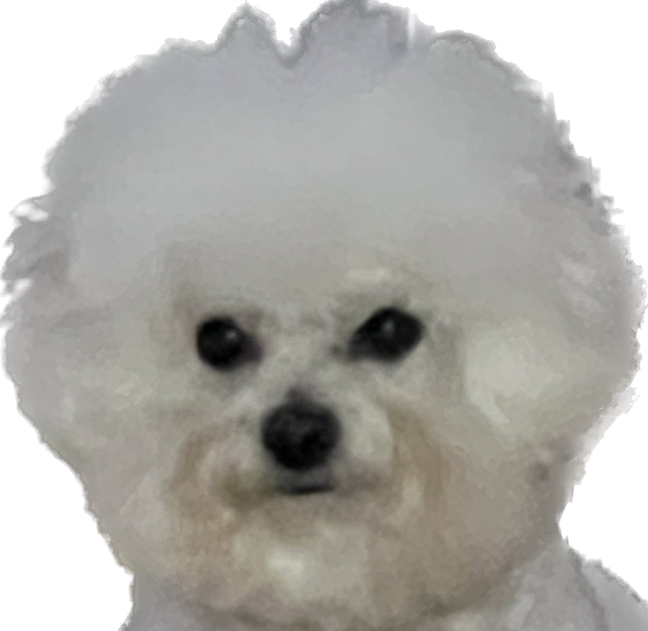 category 대표 이미지