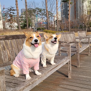 프로필사진