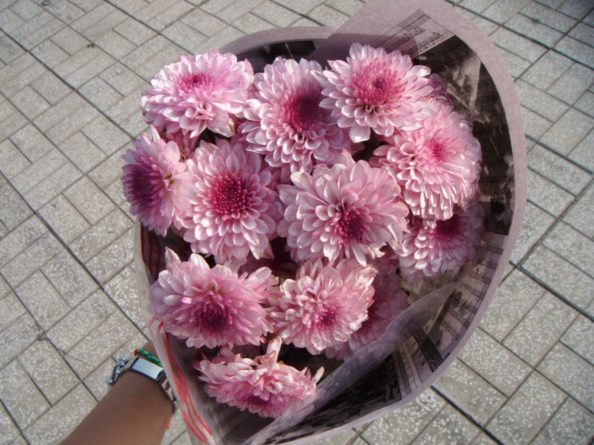 프로필사진