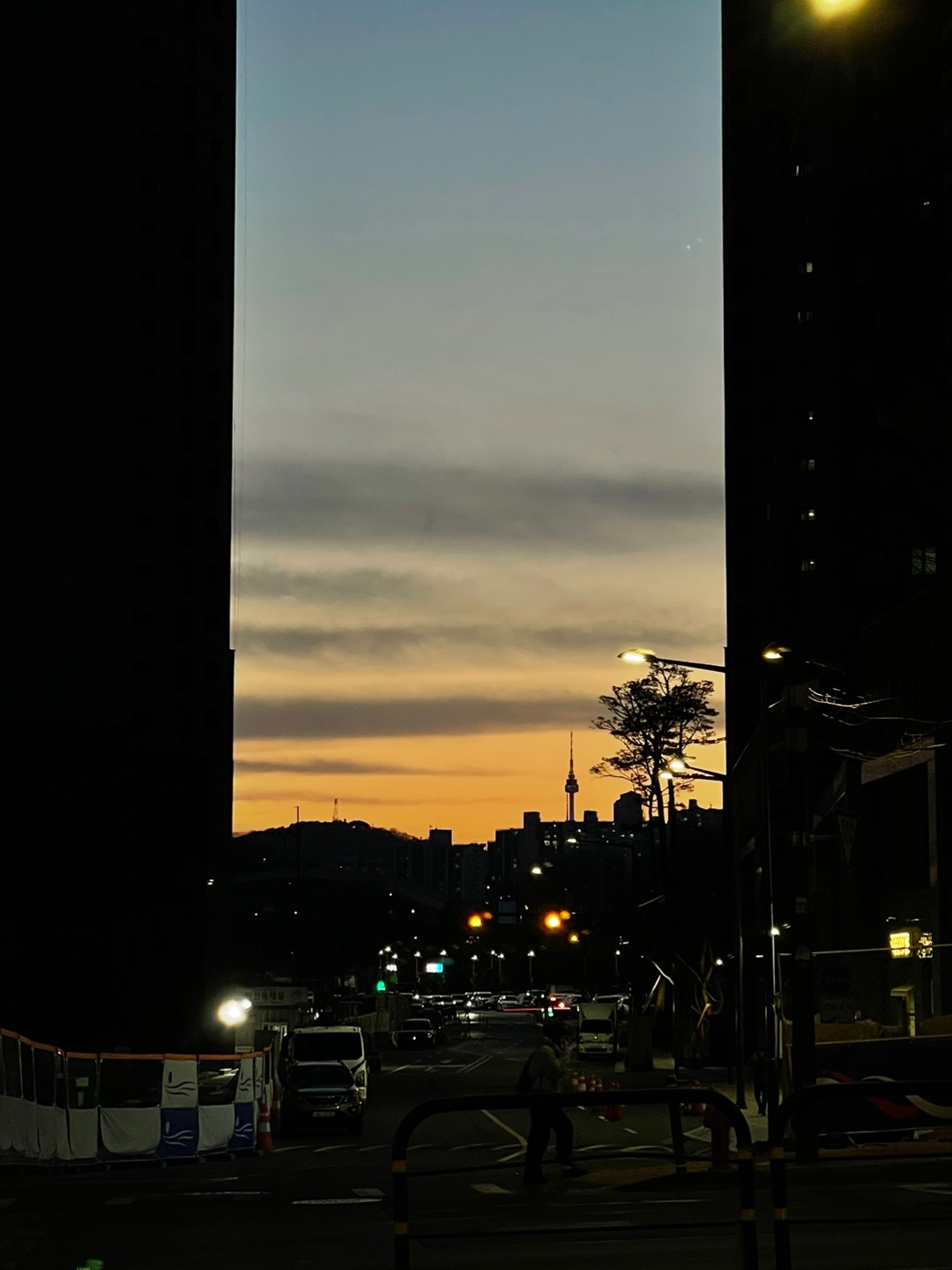 11dy