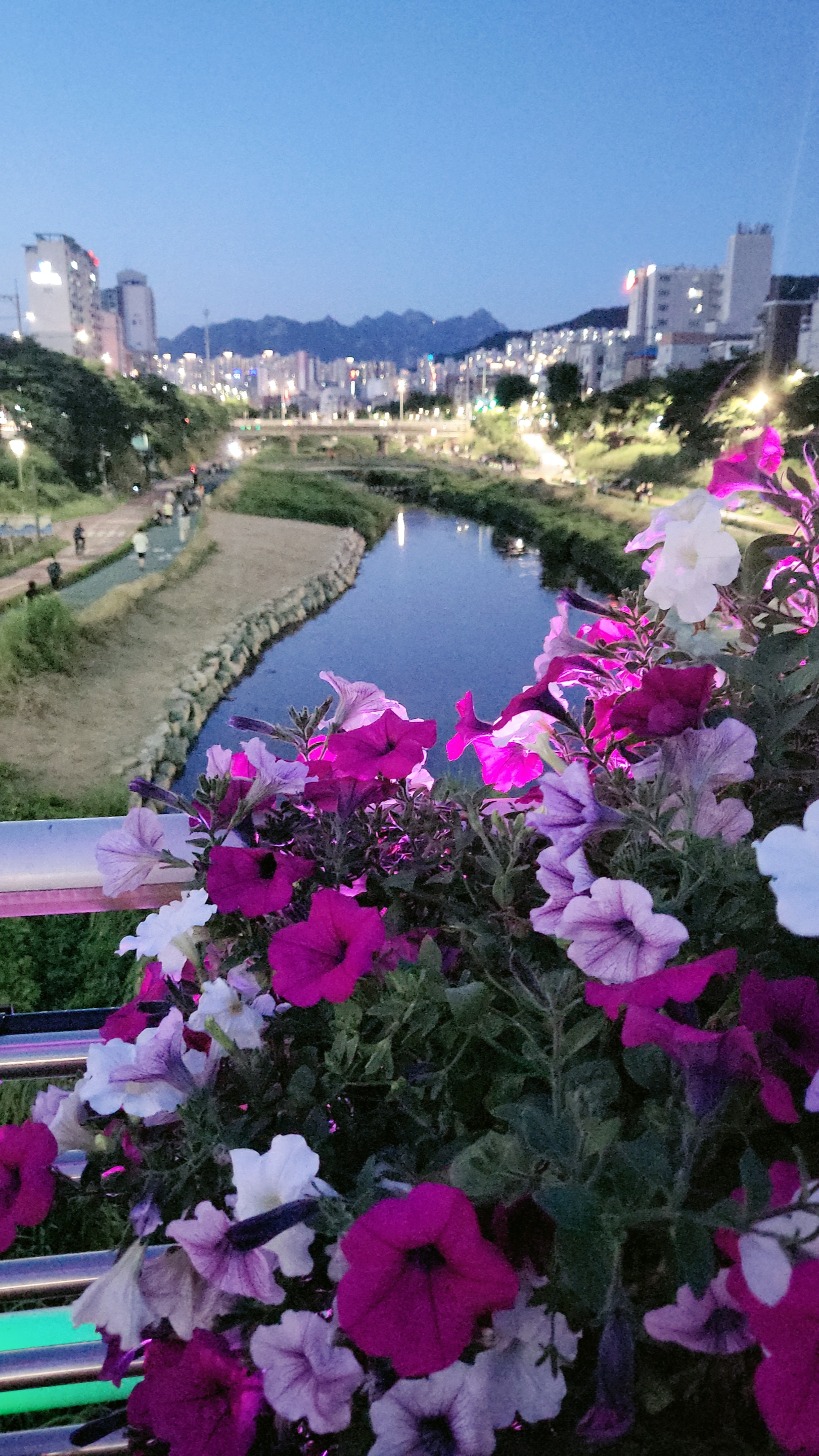 프로필사진