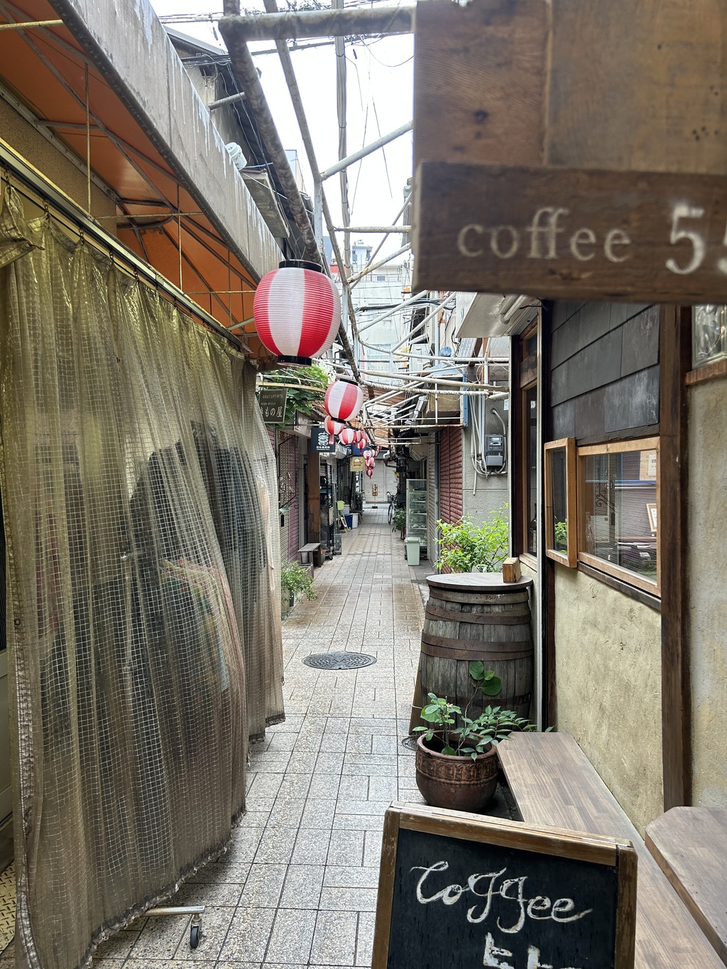 프로필사진