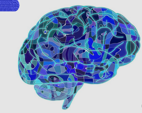 Tistory profile picture for @neuroscience