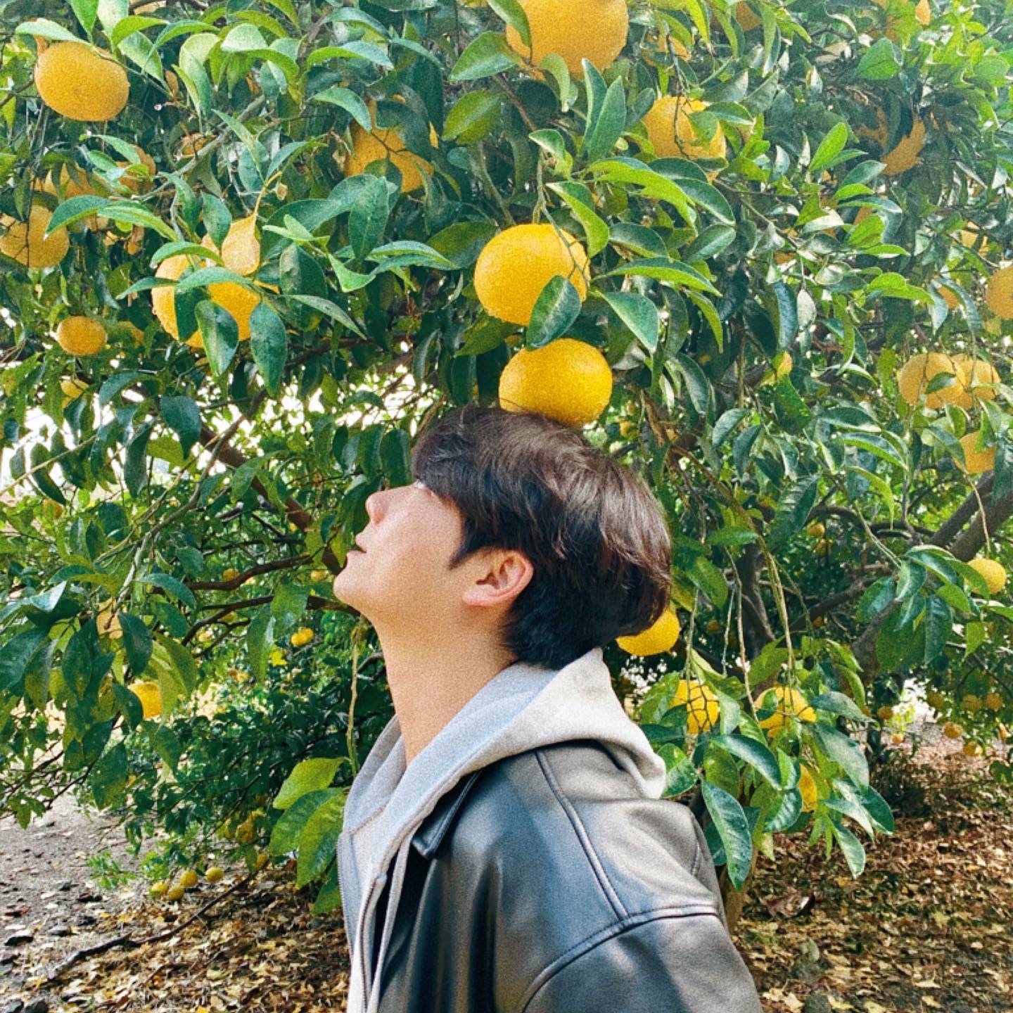 프로필사진