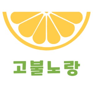 블로그 이미지