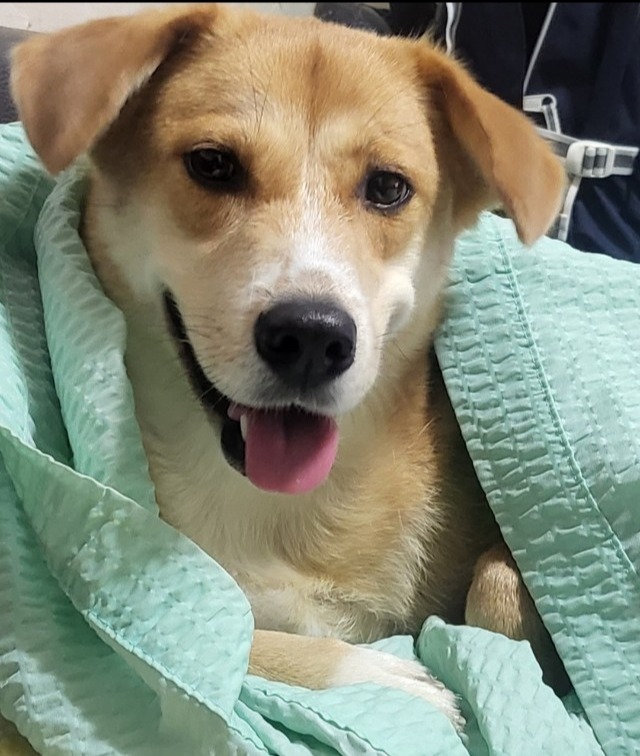 프로필사진