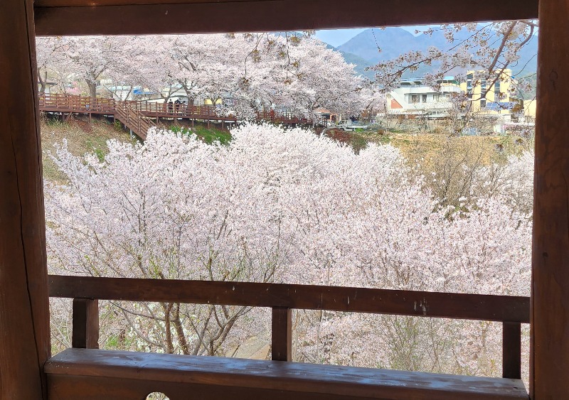 블로그 이미지