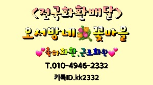 프로필사진