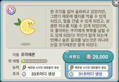 프로필사진