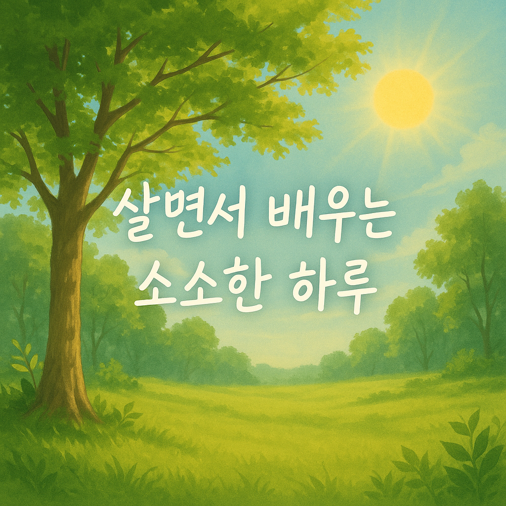 블로그 이미지