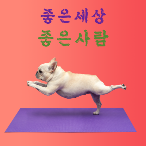 블로그 이미지