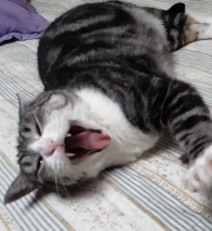 블로그 이미지