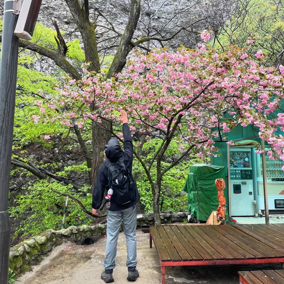 프로필사진
