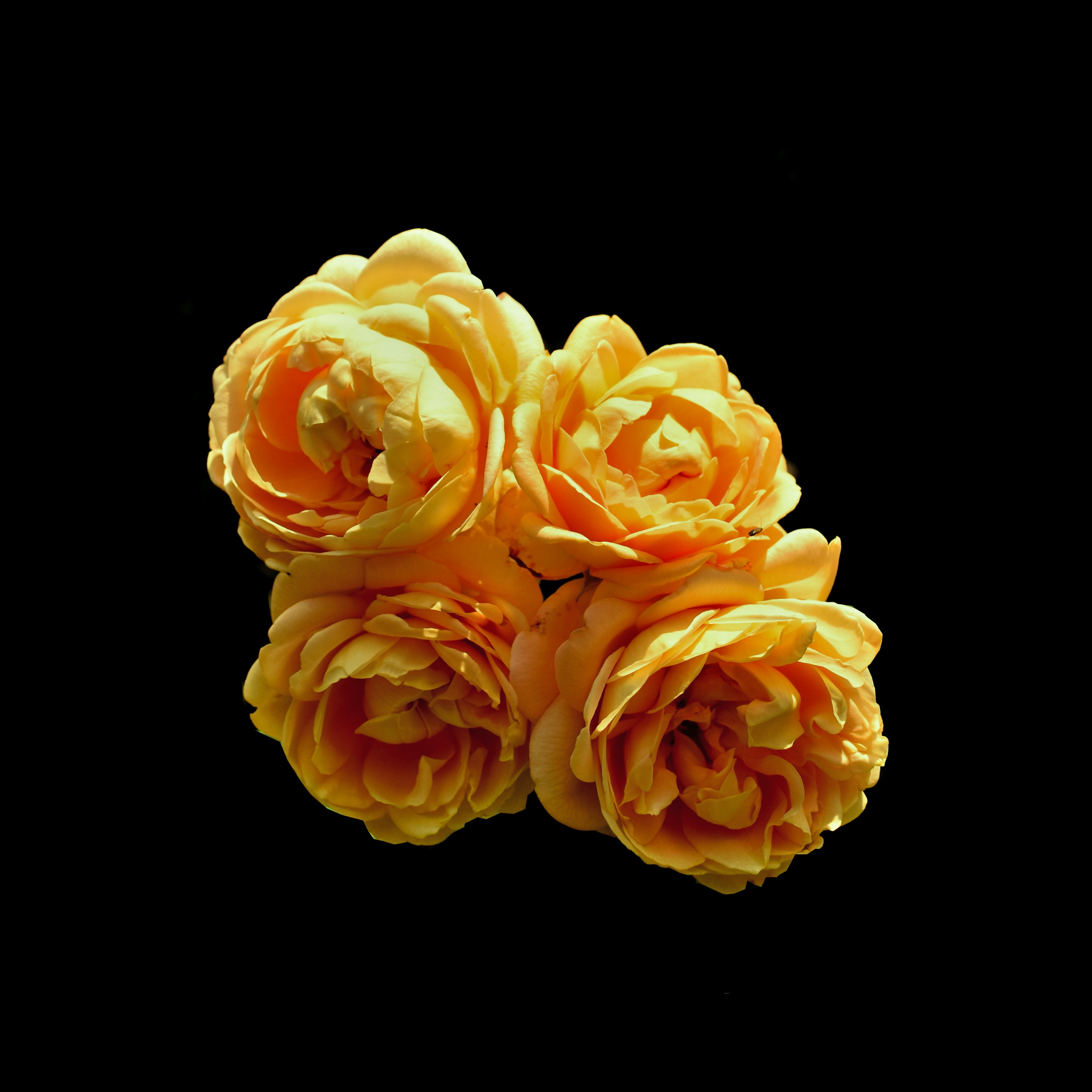 Tistory profile picture for @checkout