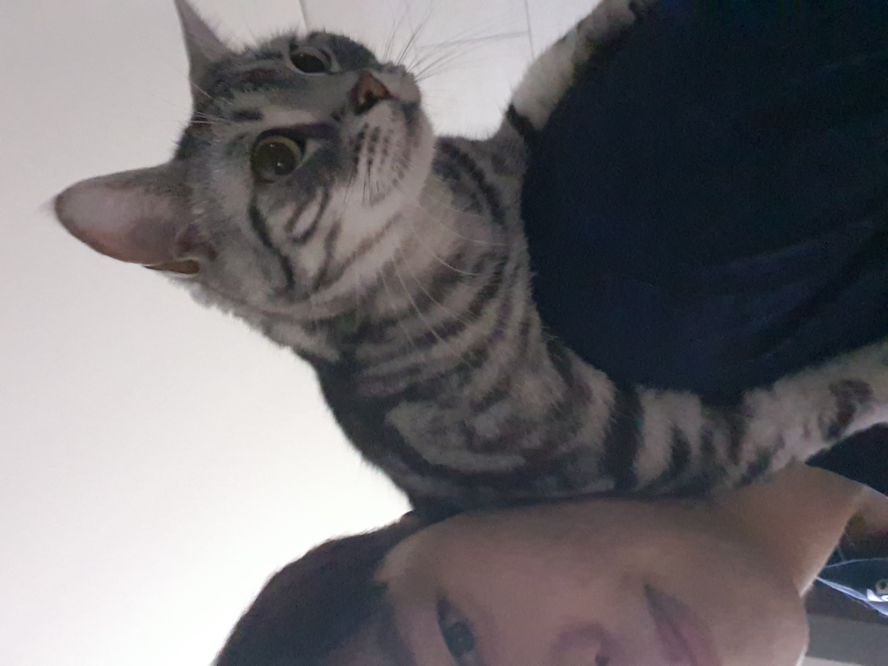 프로필사진