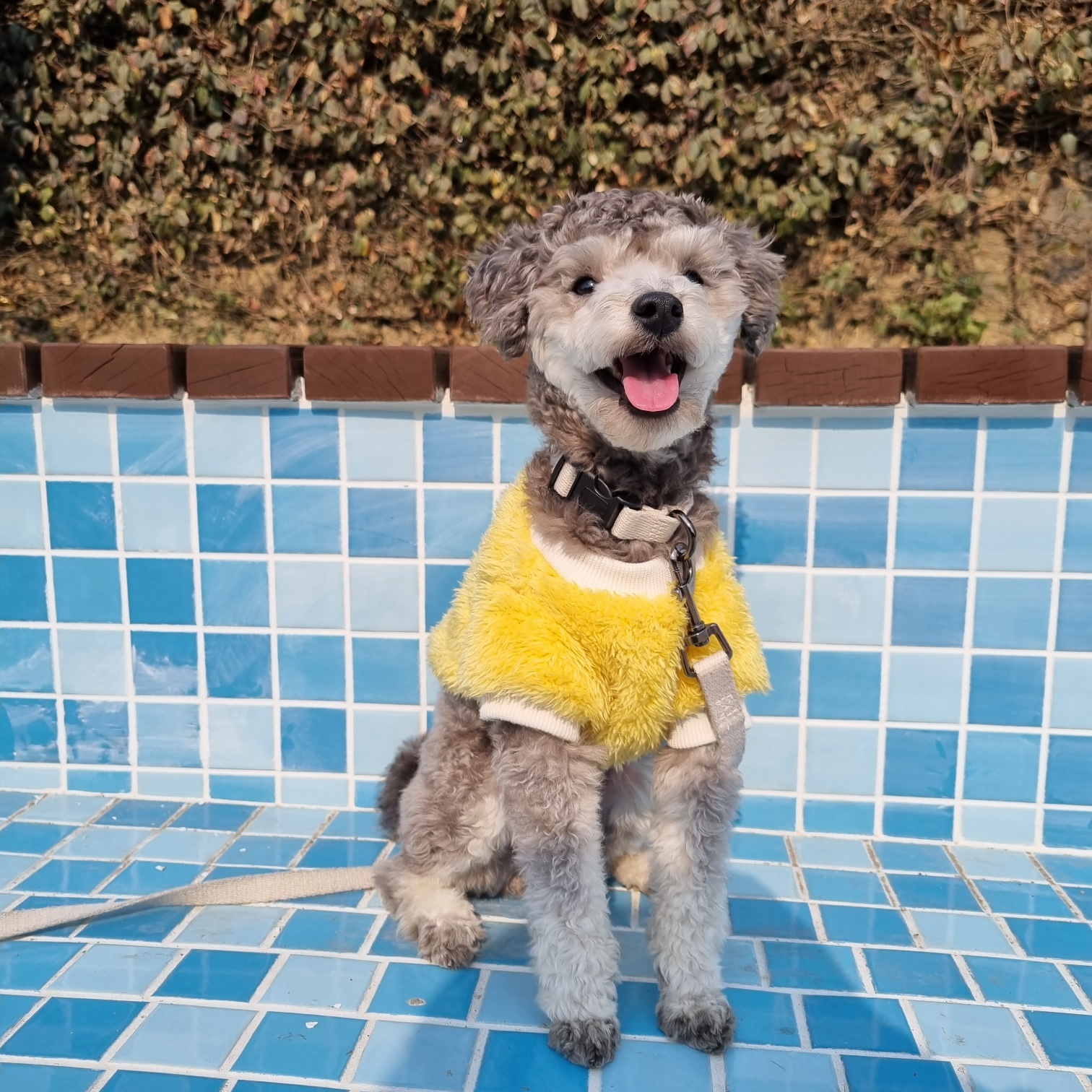 프로필사진