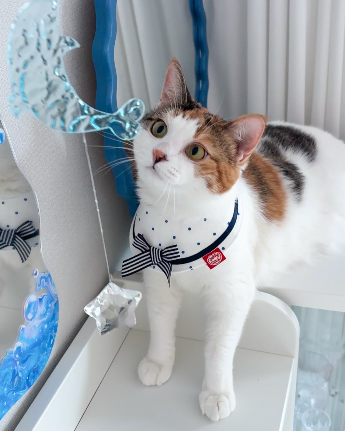 Jelly Stitch 배너